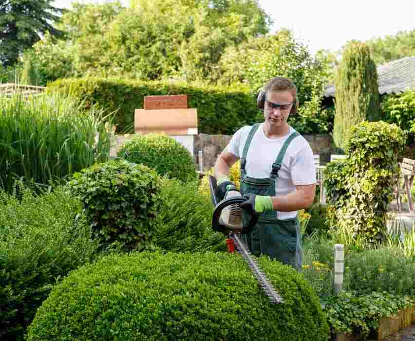 Gardening & Landscaping Services in Bangalore