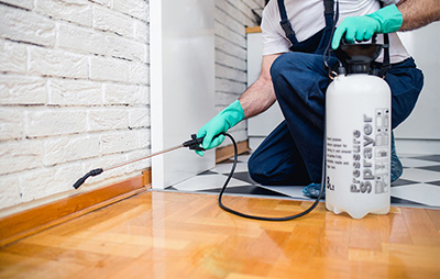 Pest Control Servcies in Bangalore